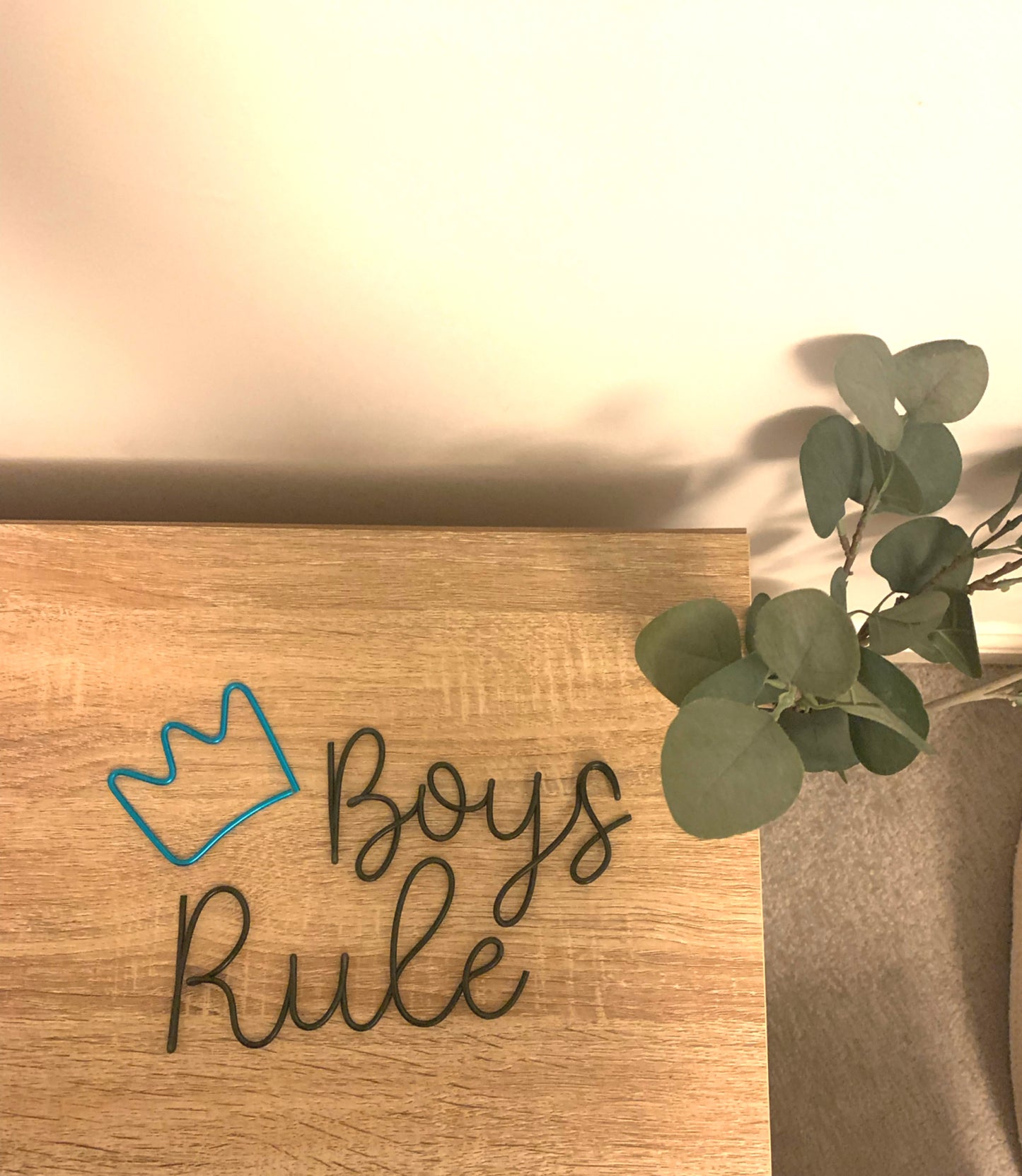 Boys Rule (with crown)