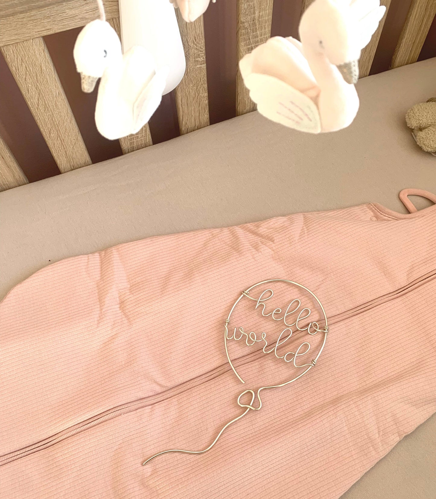Hello World new baby balloon
